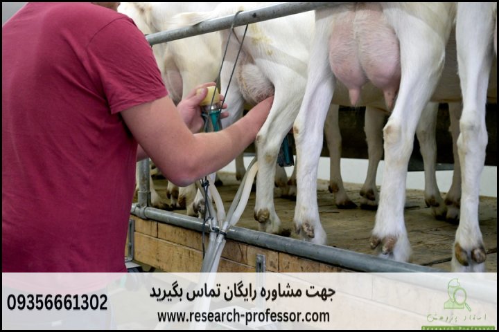 انجام پایان نامه دام و طیور + ارشد + تضمینی — تصویر 2