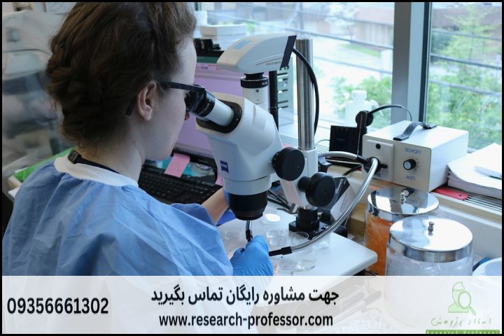 انجام پایان نامه دکتری علوم تربیتی + رساله دکتری علوم تربیتی — تصویر 2