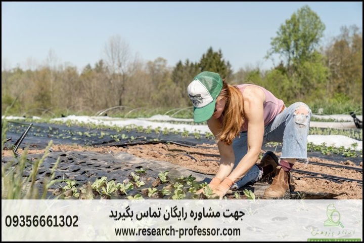 انجام پایان نامه زراعت و اصلاح نباتات + ارشد + تضمینی — تصویر 2