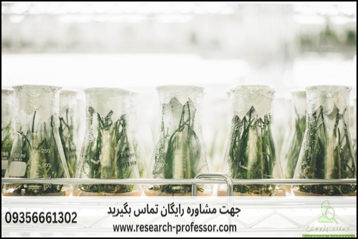 انجام پایان نامه زراعت و اصلاح نباتات + ارشد + تضمینی — تصویر 1