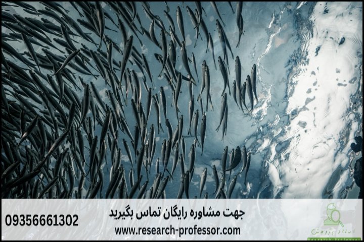 انجام پایان نامه مهندسی شیلات + ارشد + تضمینی — تصویر 2