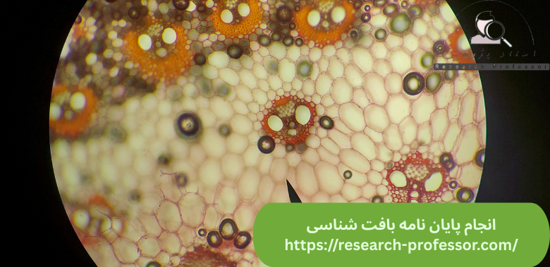 انجام پایان نامه بافت شناسی