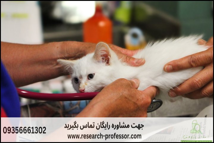 انجام پایان نامه دامپزشکی + دکتری + ارشد + تضمینی — تصویر 1