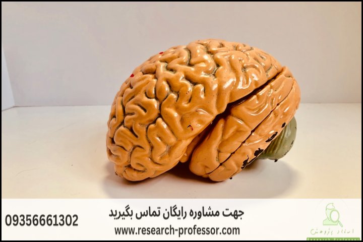 انجام پروپوزال رشته روانشناسی ذهن، مغز و تربیت — تصویر 1