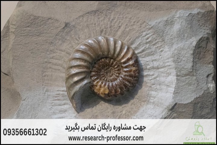 انجام پروپوزال رشته چینه نگاری و دیرینه شناسی — تصویر 1