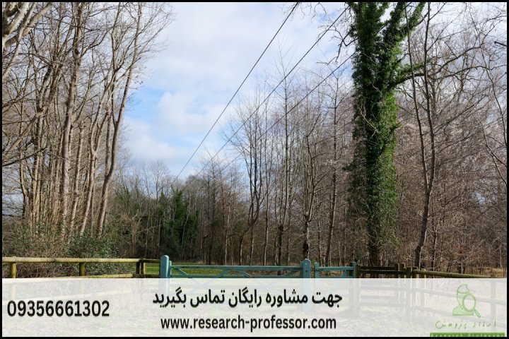 نحوه نوشتن فصل اول پایان نامه کلیات تحقیق — تصویر 2