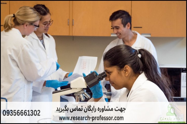 چطور پیشینه تحقیق بنویسیم — تصویر 2