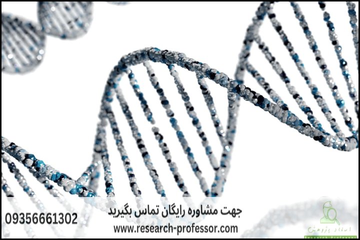 آموزش Oligo7 برای طراحی پرایمر — تصویر 1